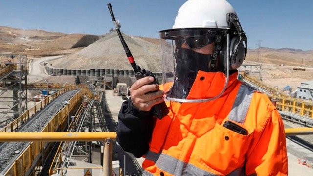 Seguridad2-de-tamano-mediano-1